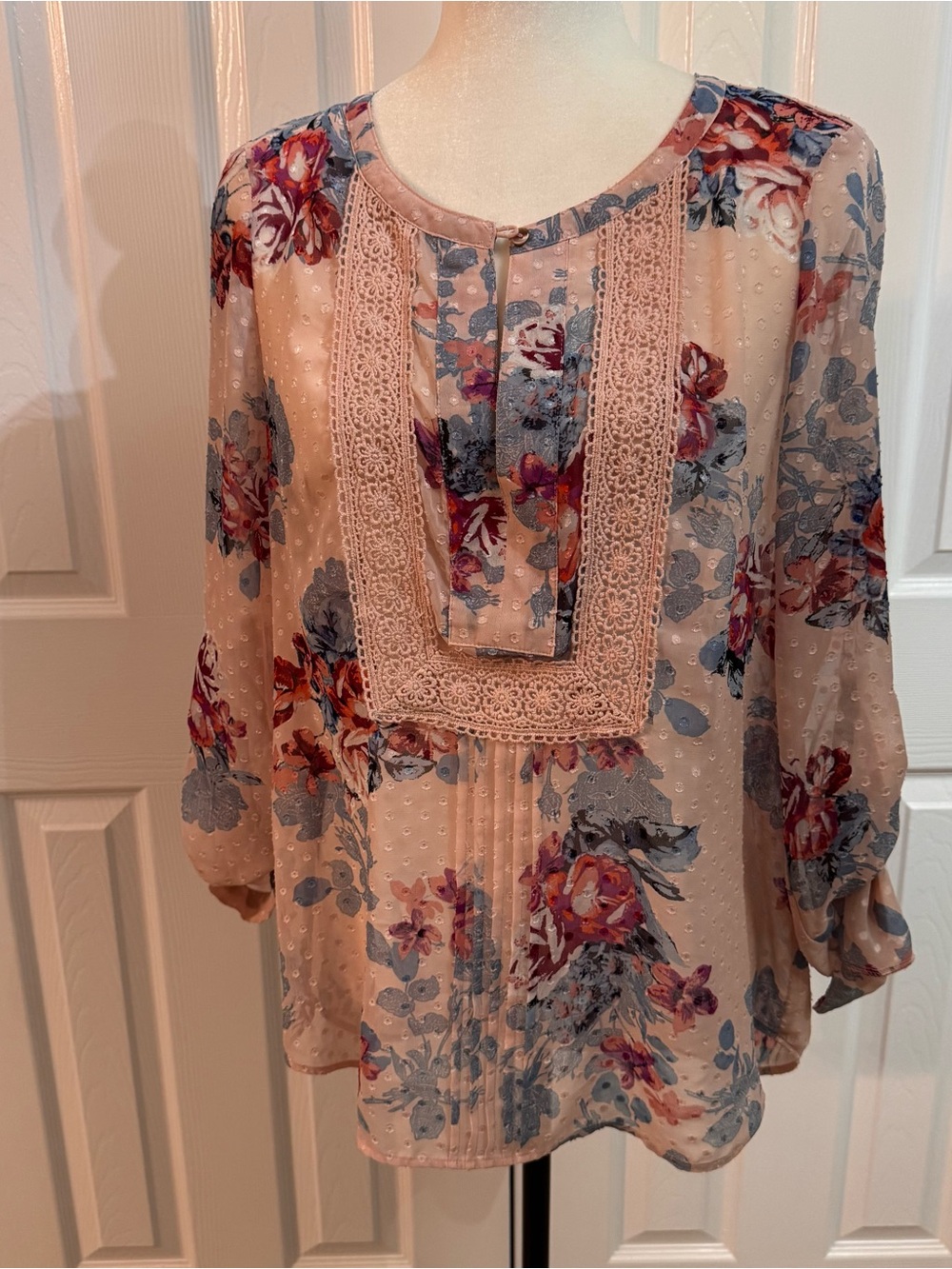 Daniel Rainn Sheer Floral Lace-Trim Blouse in Blush and Blue